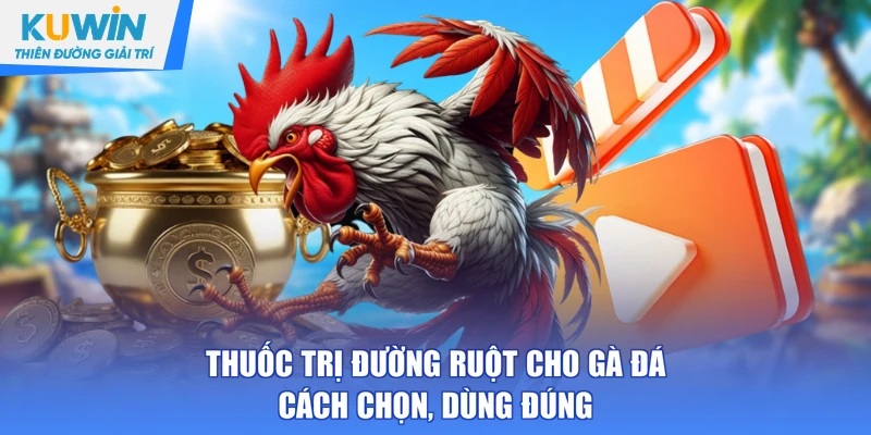 Thuốc trị đường ruột cho gà đá